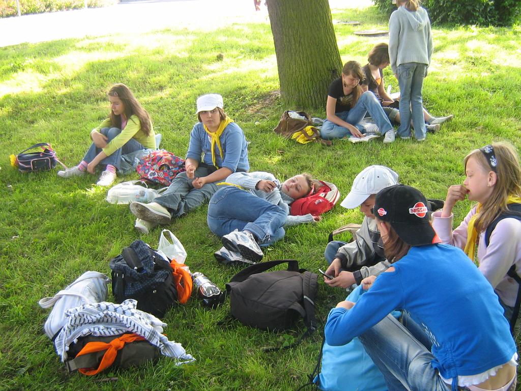 5 196.jpg